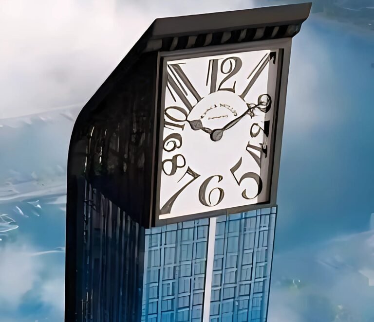 Franck-Muller-Project